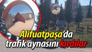 Alifuatpaşa'da trafik aynasını kırdılar