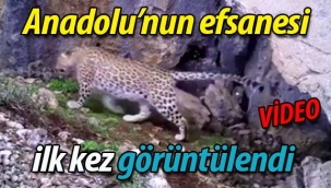 Anadolu'nun efsanesi ilk kez görüntülendi (VİDEO)