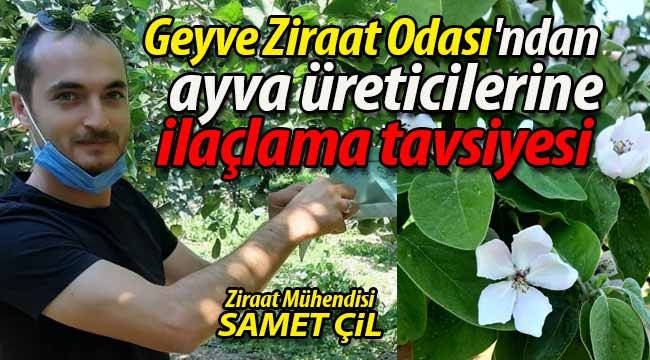 Ayva üreticilerine mücadele ve ilaçlama tavsiyesi