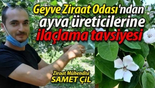 Ayva üreticilerine mücadele ve ilaçlama tavsiyesi