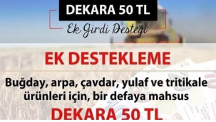 Dekar başına 50 TL ek destek ödemesi