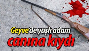 Geyve Doğancıl'da yaşlı adam tüfekle canına kıydı