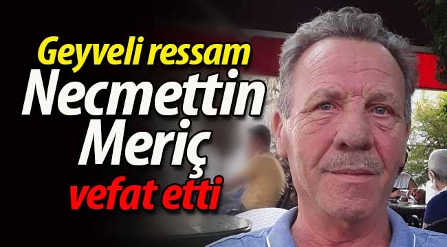 Geyveli ressam Necmettin Meriç vefat etti