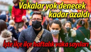 Sakarya ve Geyve'de vaka sayıları