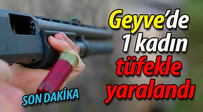 Geyve'de bir kadın tüfekle yaralandı