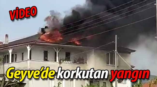 Geyve'de korkutan yangın (VİDEO)