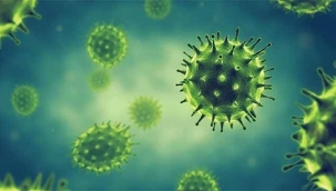 Korkulan oluyor! Virüs bir ülkeye daha sıçradı