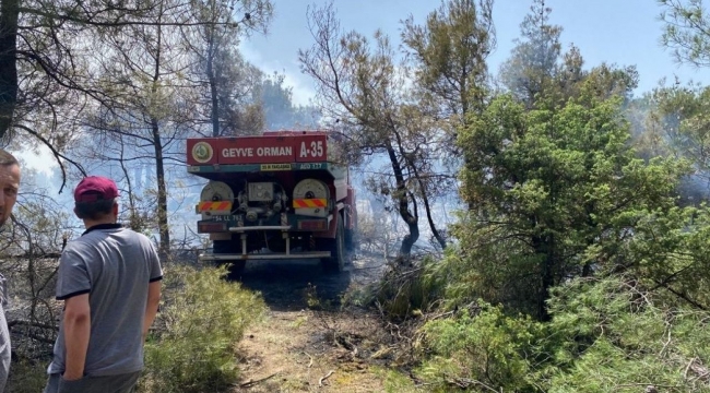 Osmaneli Geyve arasında orman yangını