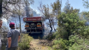 Osmaneli Geyve arasında orman yangını