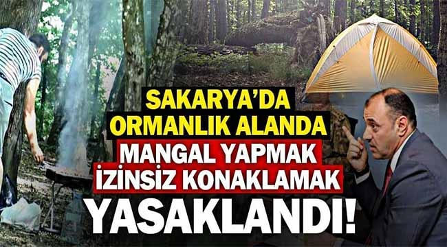 Sakarya'da ormanda mangal yapmak ve izinsiz konaklamak yasaklandı!