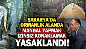 Sakarya'da ormanda mangal yapmak ve izinsiz konaklamak yasaklandı!