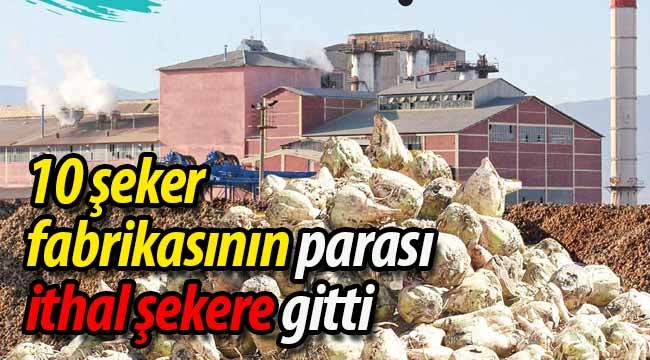 10 şeker fabrikasının parası ithal şekere gitti