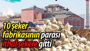 10 şeker fabrikasının parası ithal şekere gitti