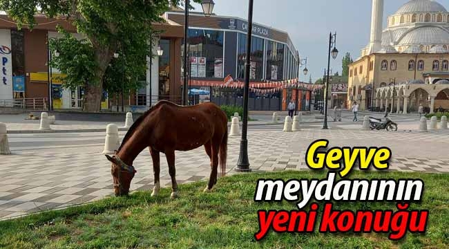 Geyve meydanının yeni konuğu