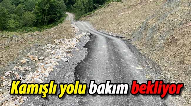 Kamışlı yolu bakım bekliyor