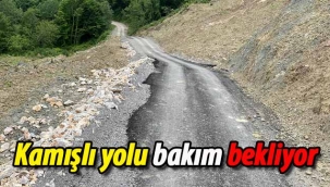 Kamışlı yolu bakım bekliyor