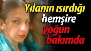 Yılanın ısırdığı hemşire yoğun bakımda.