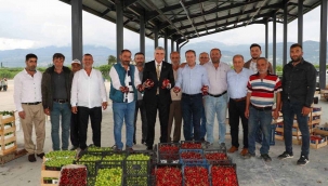 Yüce, Safibey Ürün Toplama Merkezi'ni ziyaret etti