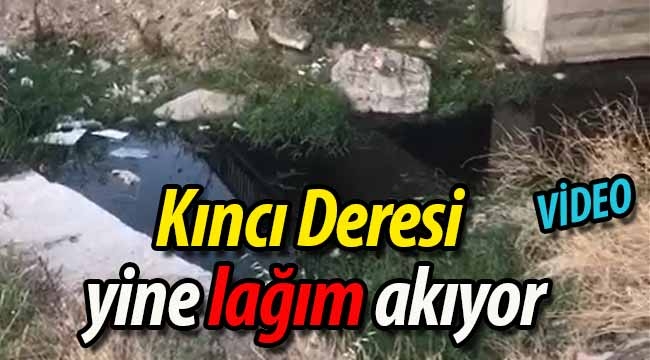 Alifuatpaşa Kıncı Deresi yine lağım akıyor