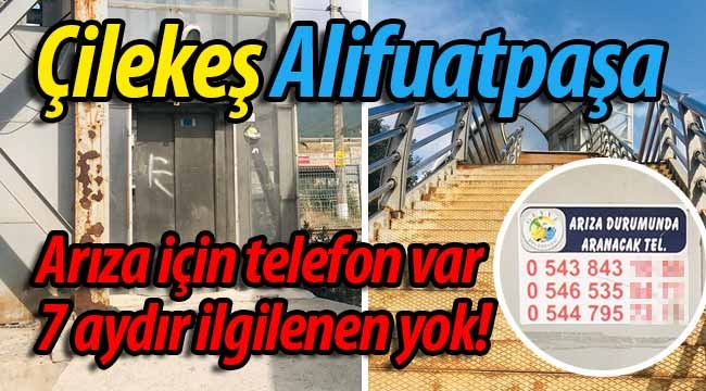 Çilekeş Alifuatpaşa!