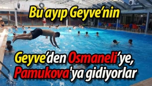 "Geyve'de bir tane havuzumuz yok"