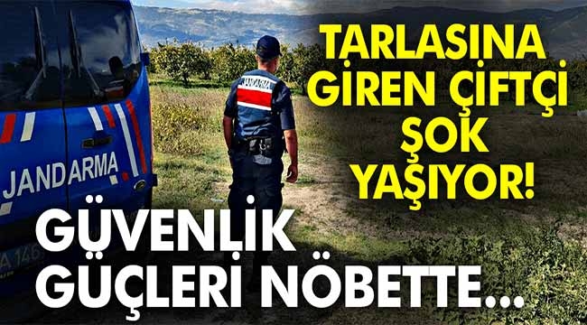 Tarlasını gören çiftçi şok yaşıyor! 