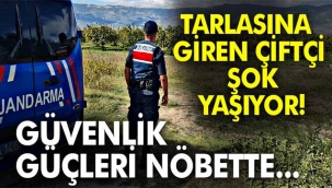 Tarlasını gören çiftçi şok yaşıyor! 
