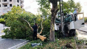 TIR sürücüsü, direği ve ağacı devirince uyandı!