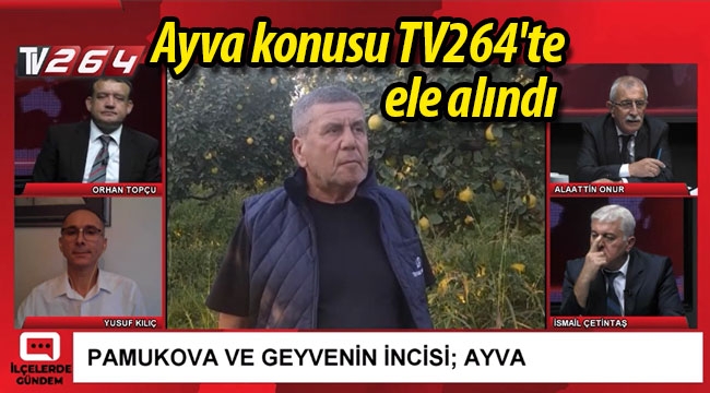 Ayva konusu TV264'te ele alındı