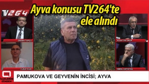 Ayva konusu TV264'te ele alındı