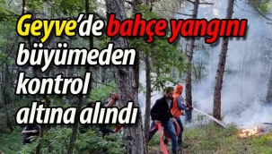 Geyve'de bahçe yangını büyümeden kontrol altına alındı