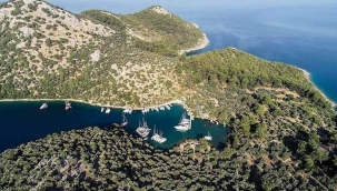 Ormanlar dahil kamu arazileri imar planı gerekmeksizin turizme açıldı