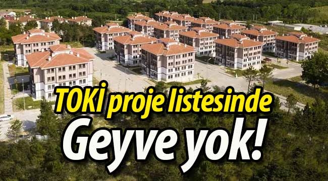 TOKİ proje listesinde Geyve yok!