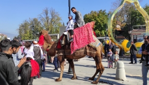Geyve'de eğlence dolu sünnet düğünü