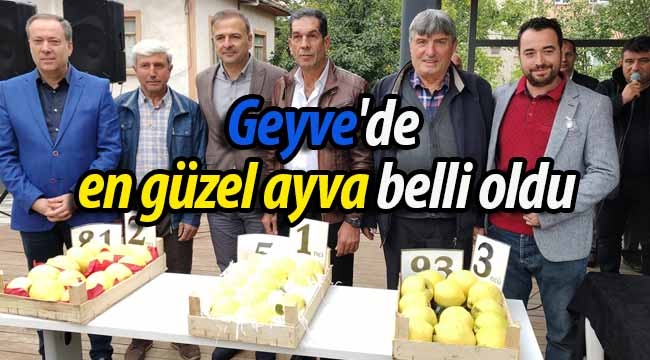 Geyve'de en güzel ayva belli oldu