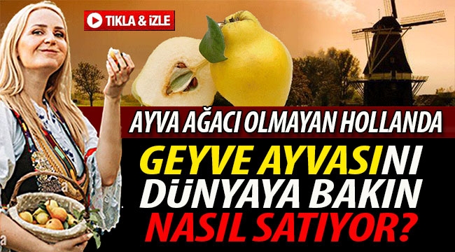 Geyve Ayvası'nı dünyaya nasıl satıyor?