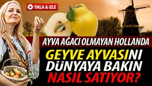 Geyve Ayvası'nı dünyaya nasıl satıyor?