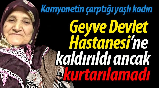 Geyve Devlet Hastanesi'ne kaldırıldı ancak, kurtarılamadı