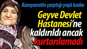 Geyve Devlet Hastanesi'ne kaldırıldı ancak, kurtarılamadı
