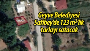 Geyve Belediyesi, Safibey'de 123 metrekarelik tarlayı satacak