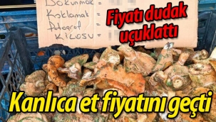 Kanlıca mantarı et fiyatını geçti