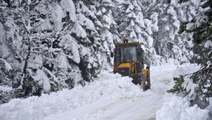 Orta Karadeniz'in o ilçesinde kar, yolları kapattı