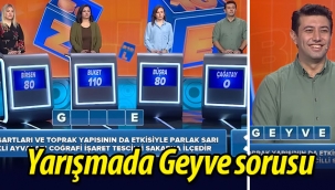 Yarışmada Geyve sorusu (VİDEO)
