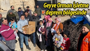 Geyve Orman İşletme Müdürlüğü, deprem bölgesinde