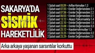 Sakarya'da sismik hareketlilik