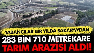 Sakarya'da yabancılara 1 yılda 283 dönüm tarım arazisi satıldı