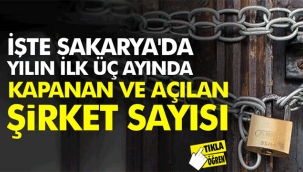 İşte Sakarya'da yılın ilk üç ayında kapanan ve açılan şirket sayısı