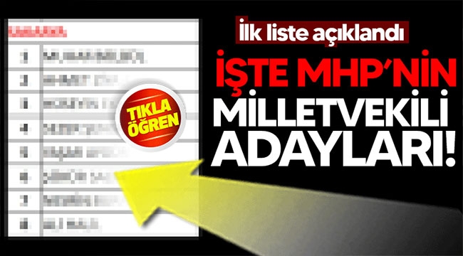 MHP Sakarya Milletvekili adayları belli oldu