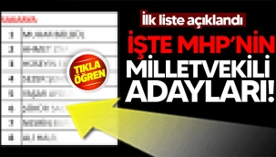 MHP Sakarya Milletvekili adayları belli oldu