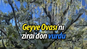Zirai don Geyve Ovasını vurdu! 